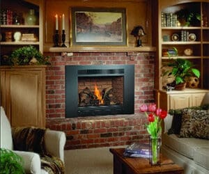 GAS AND WOOD BURNING FIREPLACE INSERTS FOR BETTER HOME HEATING