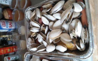 WOODSTOVE FIREPLACE & PATIO COOK-OFF WEEK 4 RESULTS