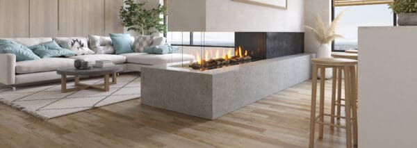 Regency - City Series Santa Monica Pier 60  Gas Fireplace