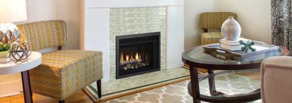 Regency - Horizon - HRI3E  Gas Insert