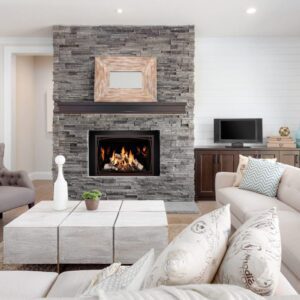 Mendota - FV44i FireIn Fireplace Insert